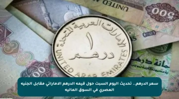 سعر الدرهم.. تحديث اليوم السبت حول قيمة الدرهم الإماراتي مقابل الجنيه المصري في السوق المالية